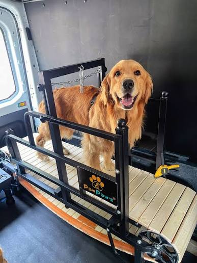 Golden Retriever sorridente sul tapis roulant nel van