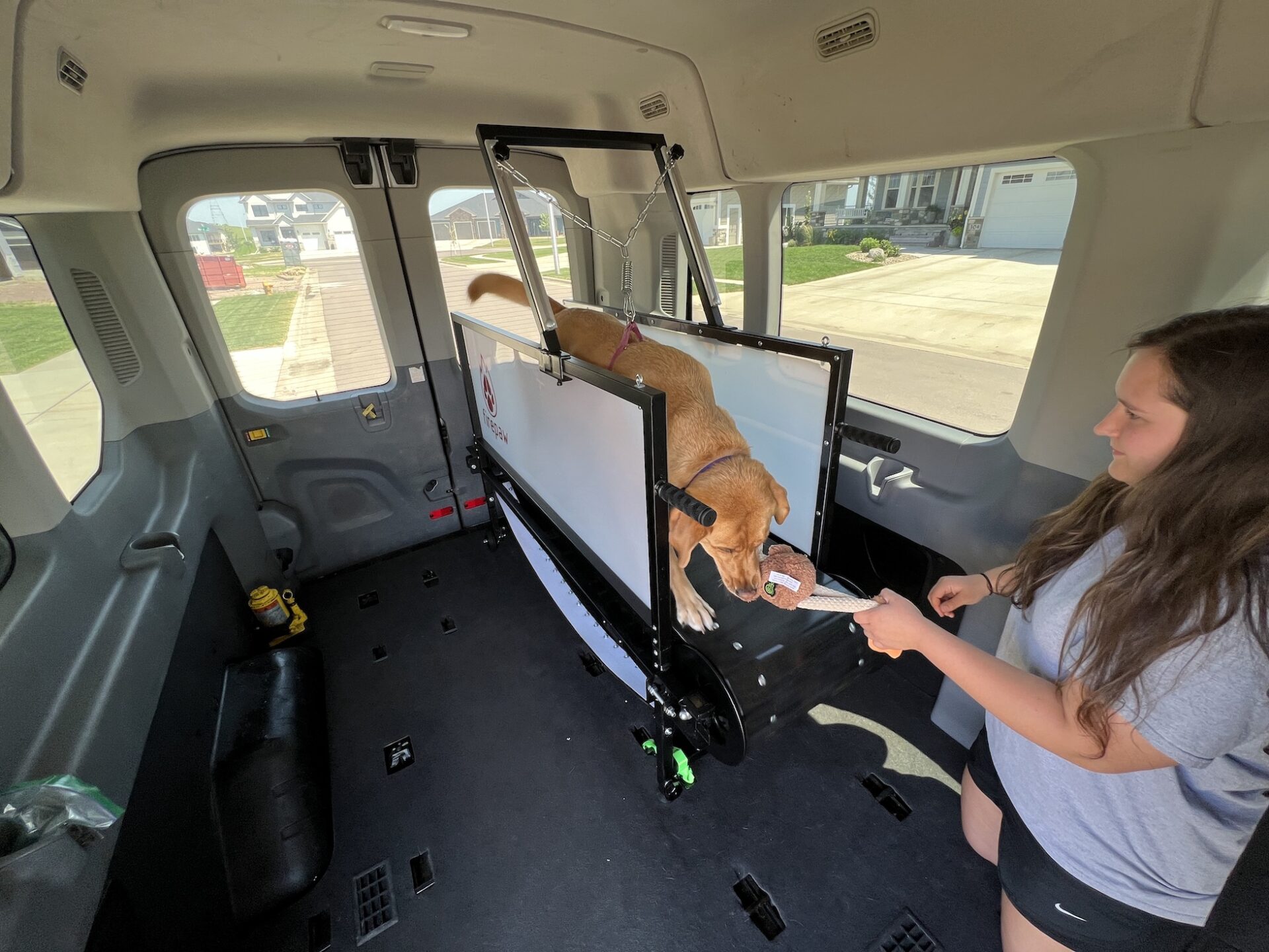 Cane si allena sul tapis roulant dentro il van ZampaFit con la trainer